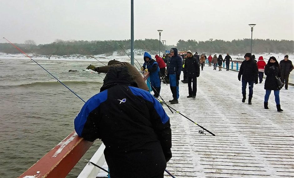 Palanga rengiasi Stintų šventei (programa)