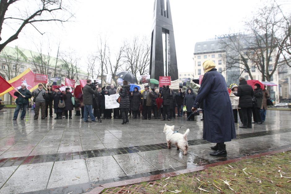 Prie Vyriausybės – reikalavimai pastatyti Panemunės tiltą