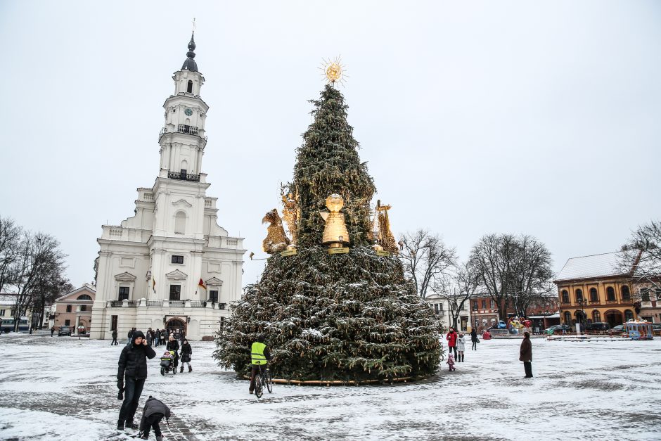 Kalėdų šauklių bus mažiau: Kauną papuoš ne keturios, o trys eglutės