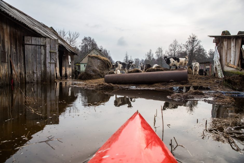 Po lietuviškąją Veneciją – baidare