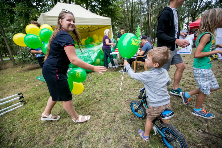 Kauniečiai rinkosi apžiūrėti sutvarkyto Dainavos parko