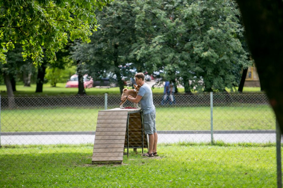 Kauniečiai rinkosi apžiūrėti sutvarkyto Dainavos parko