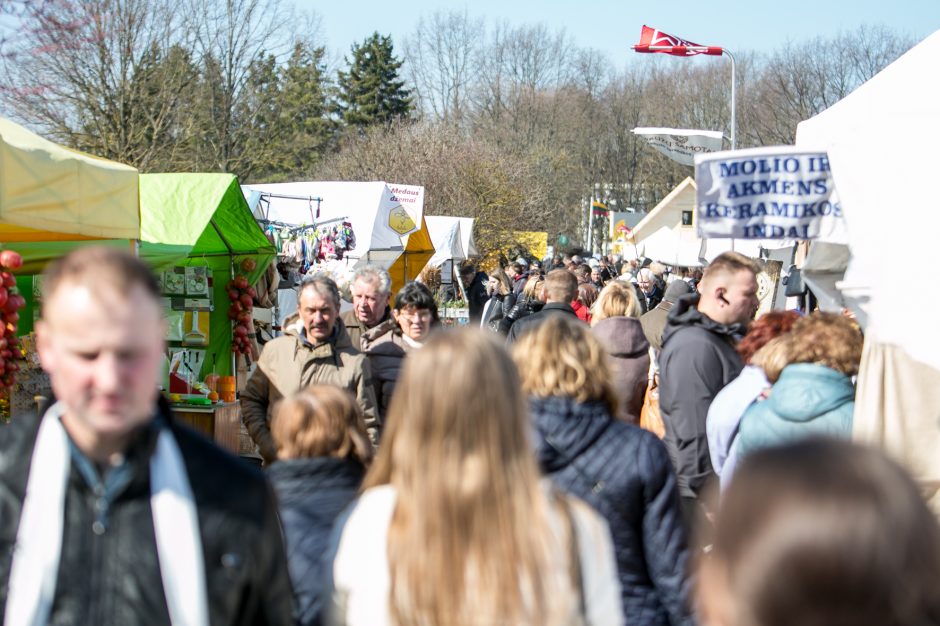 Parodoje „Ką pasėsi...2019“ vėl išsirikiavo brangi ūkio technika