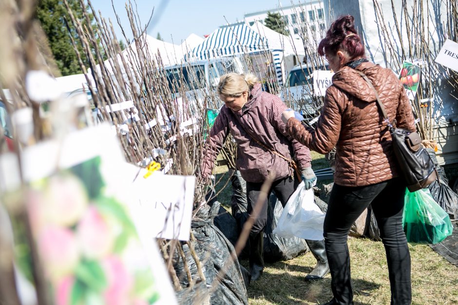 Parodoje „Ką pasėsi...2019“ vėl išsirikiavo brangi ūkio technika