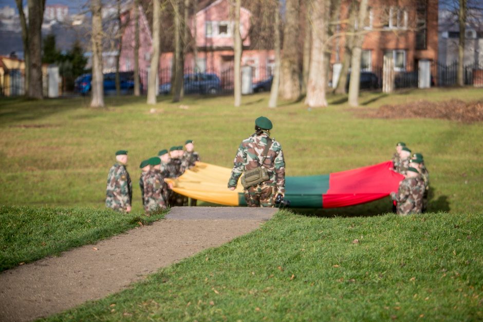 Naujųjų metų išvakarėse Pelėdų kalne iškelta rekordinė Lietuvos vėliava