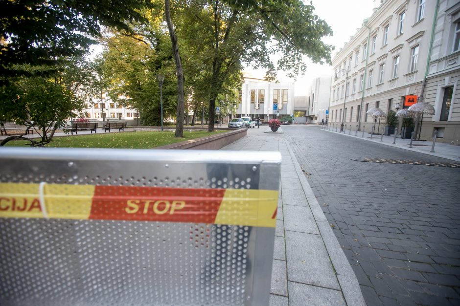 Policija pasirengė mitingui: centre – sustiprintos policijos pajėgos, įtartini asmenys bus tikrinami