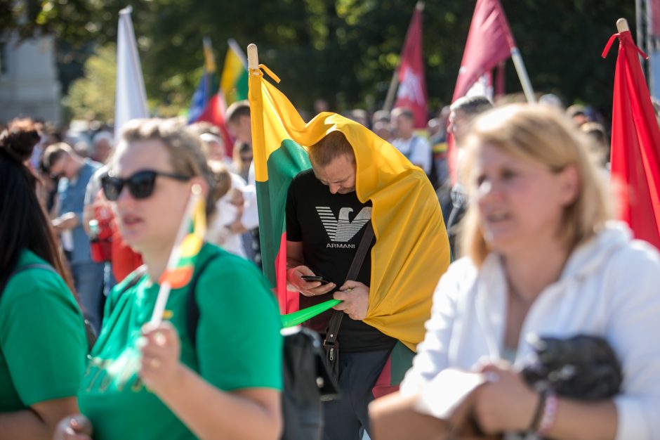 Sociologė R. Žiliukaitė: protestas turės įtakos rinkimams