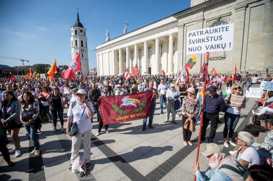 Sociologė R. Žiliukaitė: protestas turės įtakos rinkimams