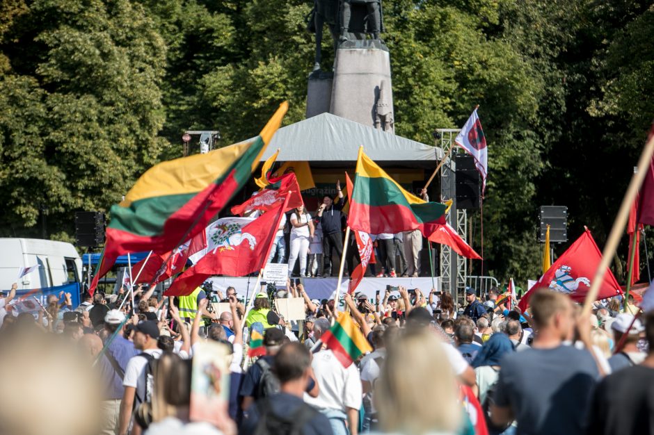 Sociologė R. Žiliukaitė: protestas turės įtakos rinkimams