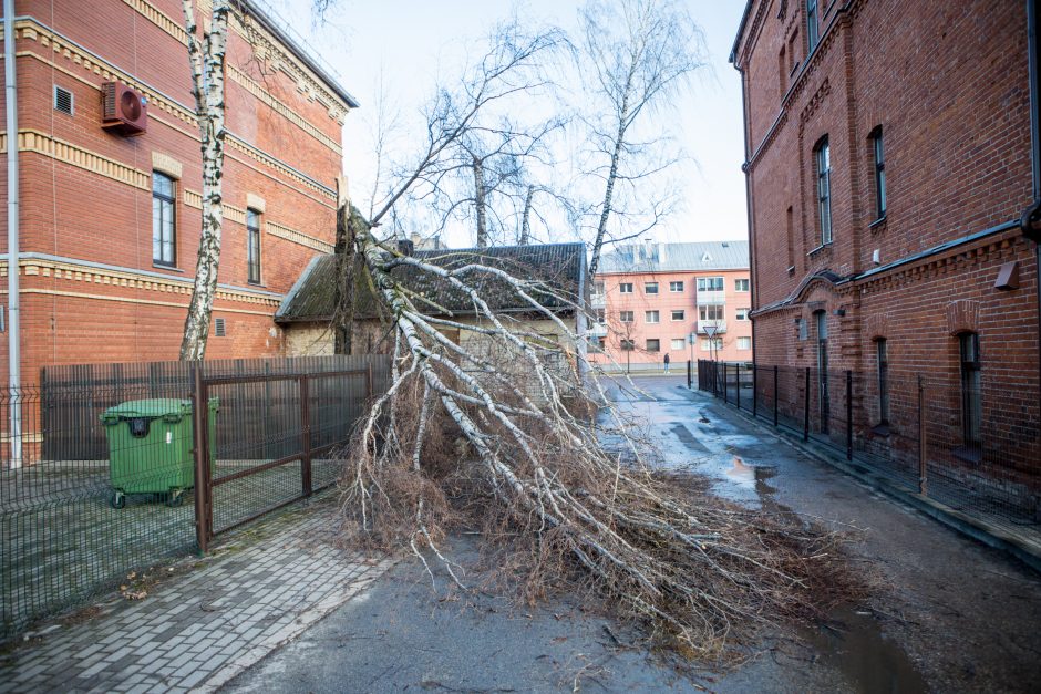 Kaunas ūžia: smarkus vėjas nunešė namo stogą, išvartė medžius