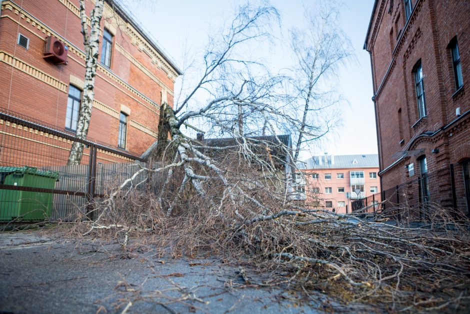 Kaunas ūžia: smarkus vėjas nunešė namo stogą, išvartė medžius