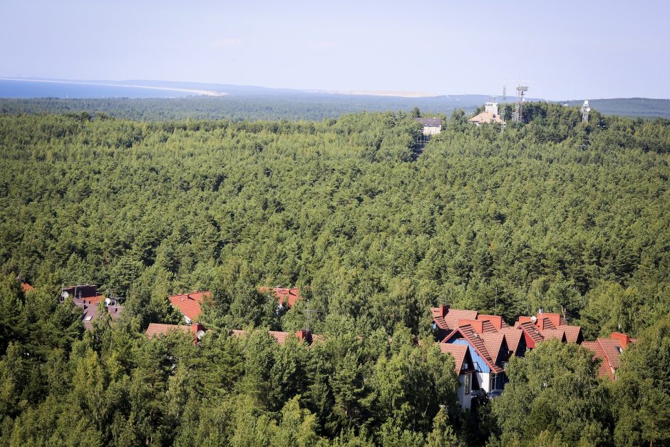 5,6 mln. eurų žalos Kuršių nerijai byla: valdžia aplinkkelį derino, asfalto pilti neleido