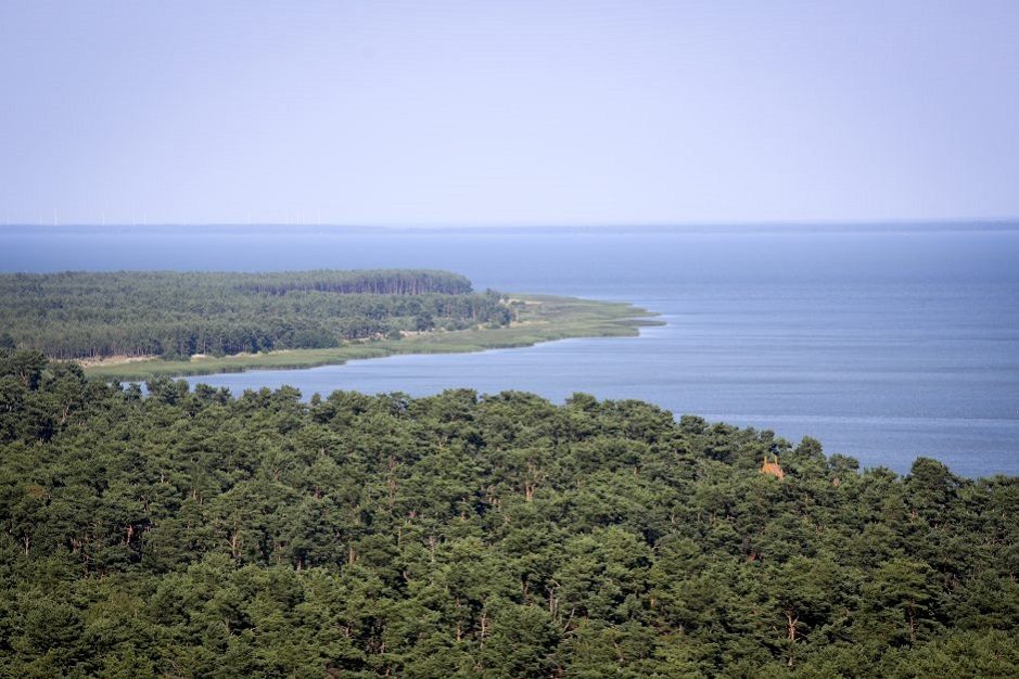 Prokuratūra: miško kirtimai Kuršių nerijos nacionaliniame parke yra teisėti