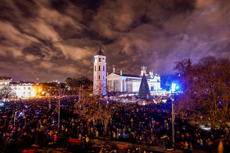 Vilniuje karūnuota pagrindinė šalies eglė