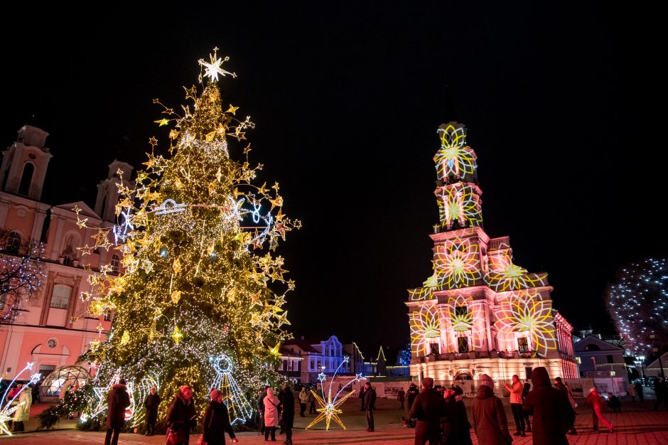 Kaunas ieško Kalėdų eglės ir Rotušės aikštės puošėjo