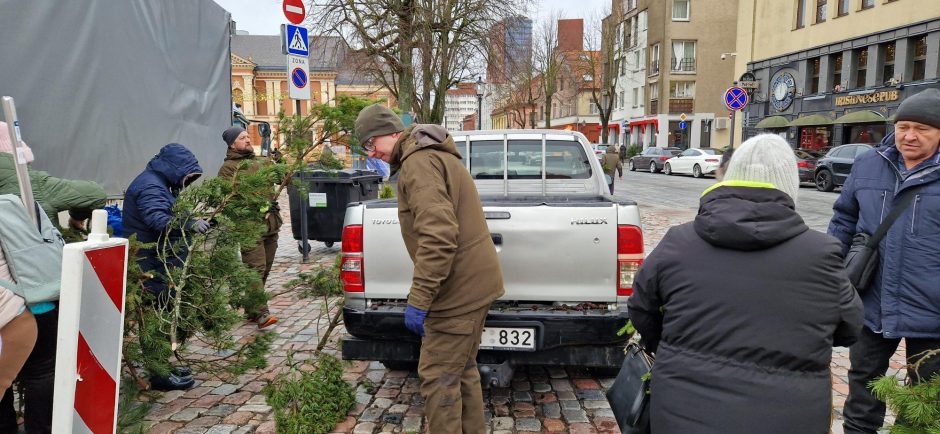 Eglišakių dalijimo akcijoje Klaipėdoje – ir prezidentas