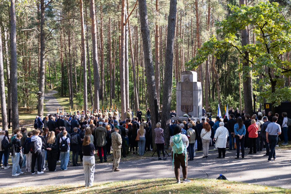 I. Šimonytė ragina vienytis prieš į Seimą kandidatuojančias antisemitines jėgas