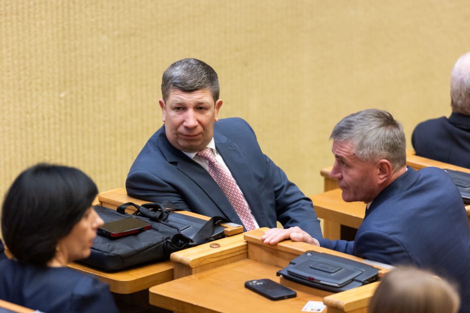 V. Čmilytė-Nielsen sako, kad opozicija kalbėsis dėl lyderio išrinkimo