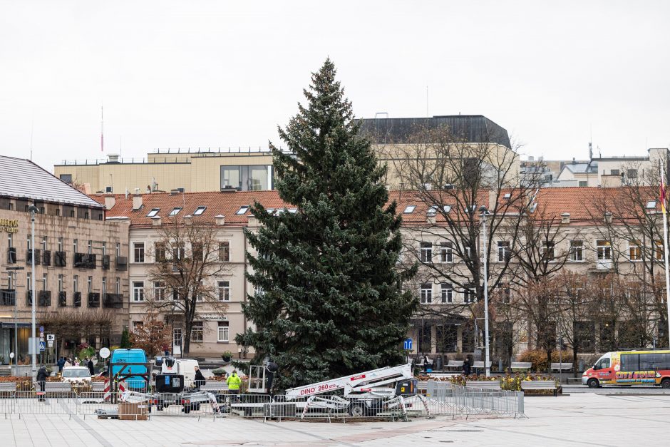 Vilnių puoš natūrali eglė, bus pristatytas interaktyvus Kalėdų žemėlapis