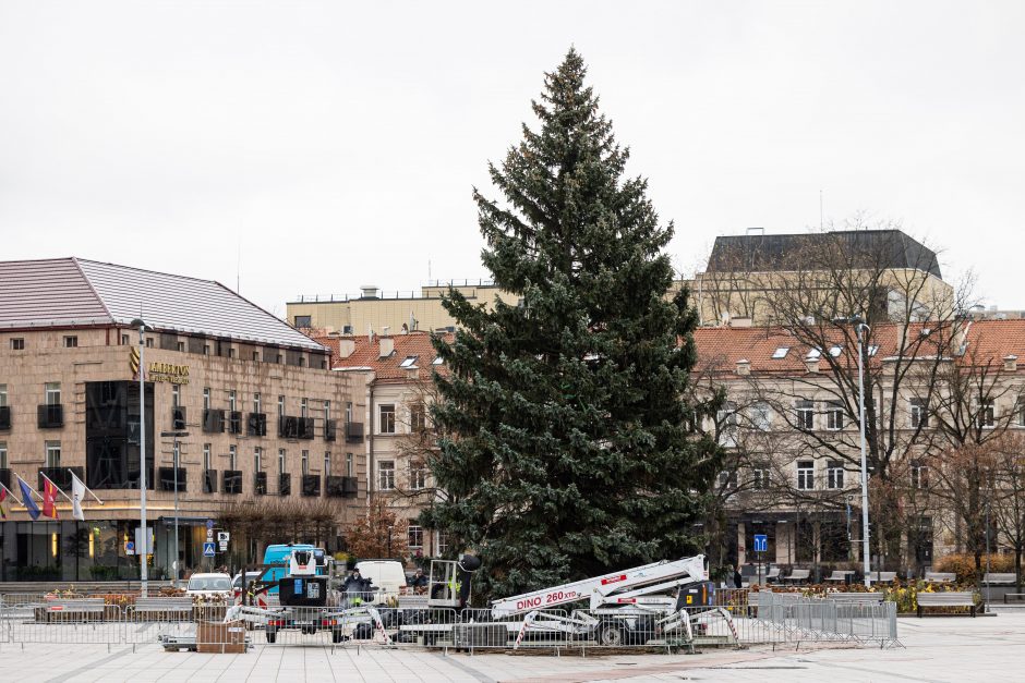 Vilnių puoš natūrali eglė, bus pristatytas interaktyvus Kalėdų žemėlapis