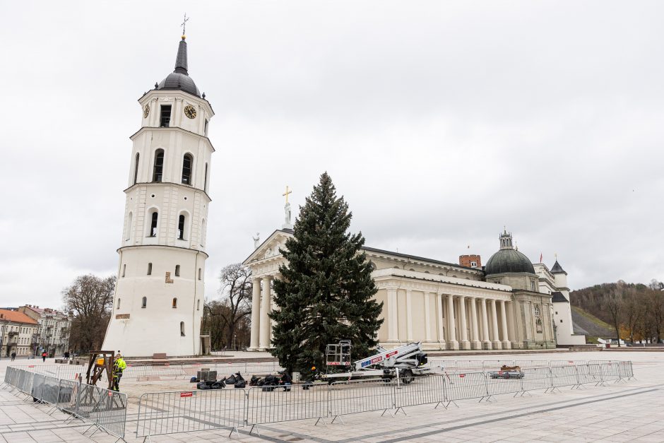 Vilnių puoš natūrali eglė, bus pristatytas interaktyvus Kalėdų žemėlapis