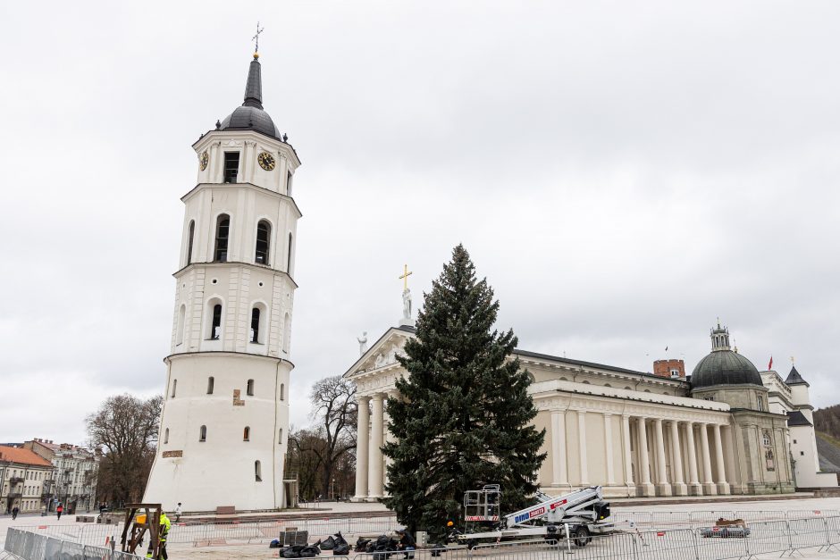 Vilnių puoš natūrali eglė, bus pristatytas interaktyvus Kalėdų žemėlapis