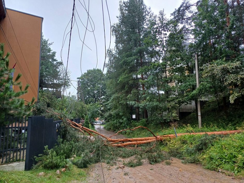 ESO: elektros tiekimas nuo audros pradžios atstatytas maždaug pusei gyventojų