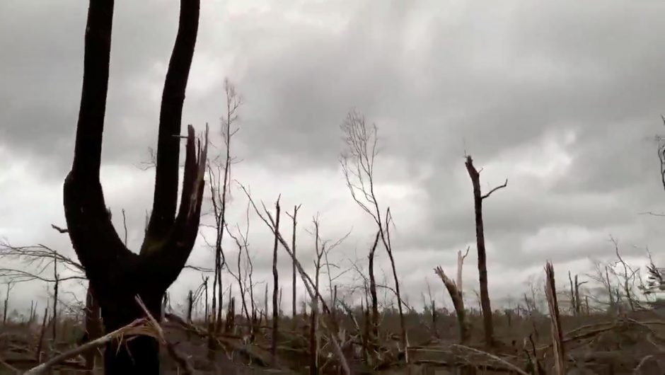 Alabamoje siautėjo mažiausiai 22 gyvybes nusinešęs tornadas