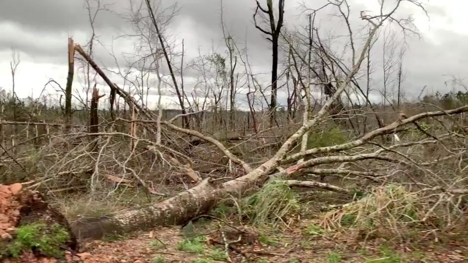 Alabamoje siautėjo mažiausiai 22 gyvybes nusinešęs tornadas