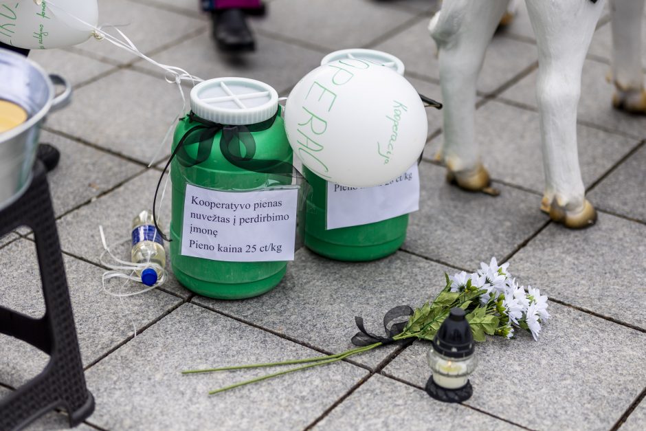 Pieno ūkininkai žada didelę protesto akciją