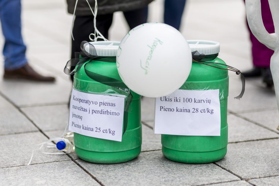 Pieno ūkininkai žada didelę protesto akciją