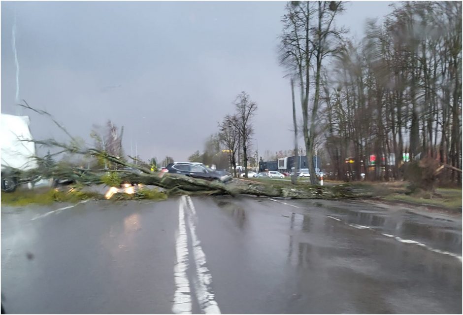 Paryčiais įsisiautėjęs vėjas varto medžius, ugniagesiai sulaukė šimtų iškvietimų