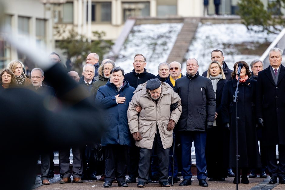 Iškilminga valstybės vėliavos pakėlimo ceremonija