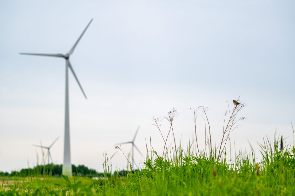 Vėjo energiją nori įgalinti Klaipėdos rajone