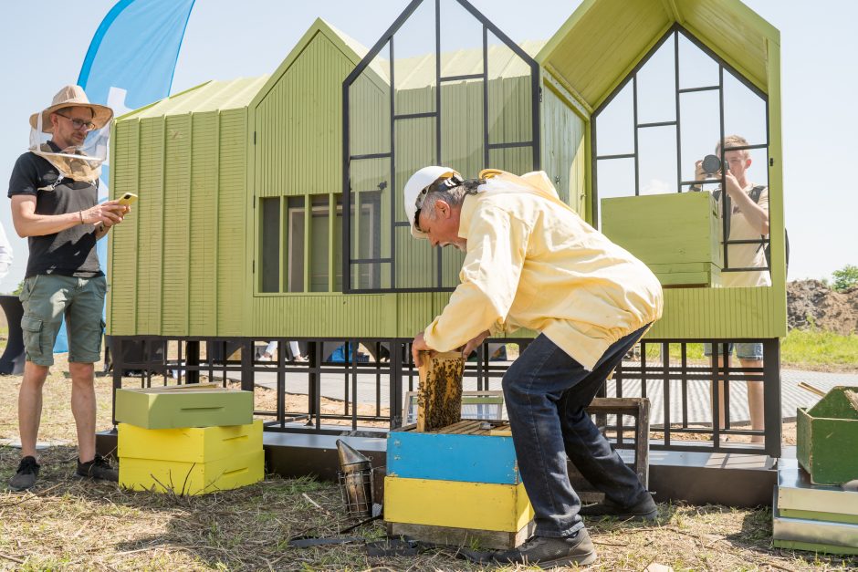 Verslo miestelio „Urban HUB“ statybų pradžią paskelbė įkurdinta bičių bendruomenė