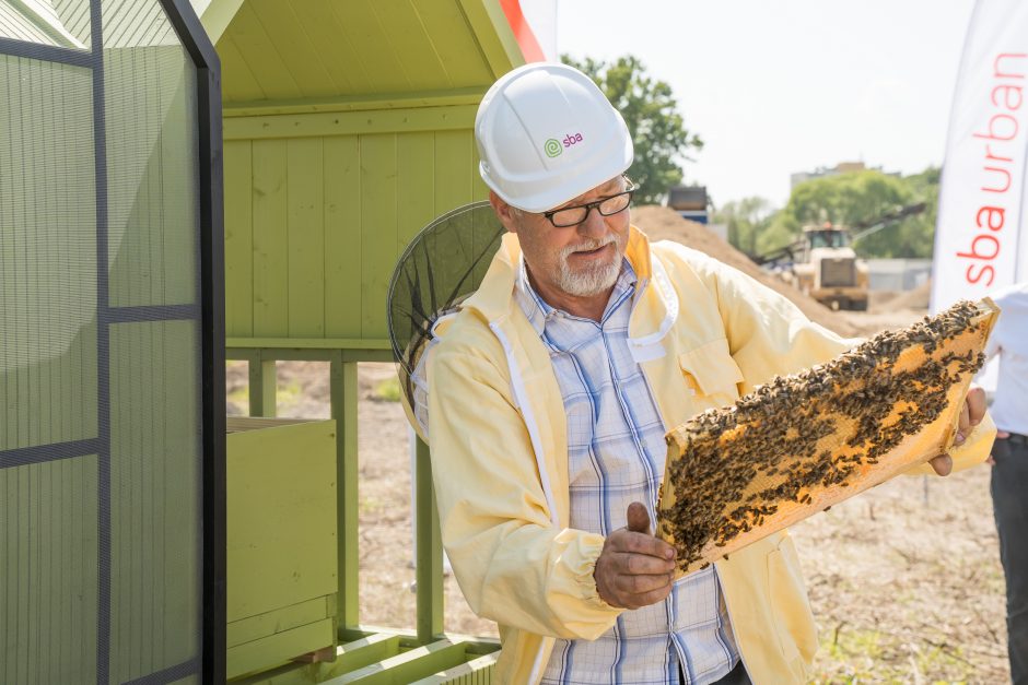 Verslo miestelio „Urban HUB“ statybų pradžią paskelbė įkurdinta bičių bendruomenė