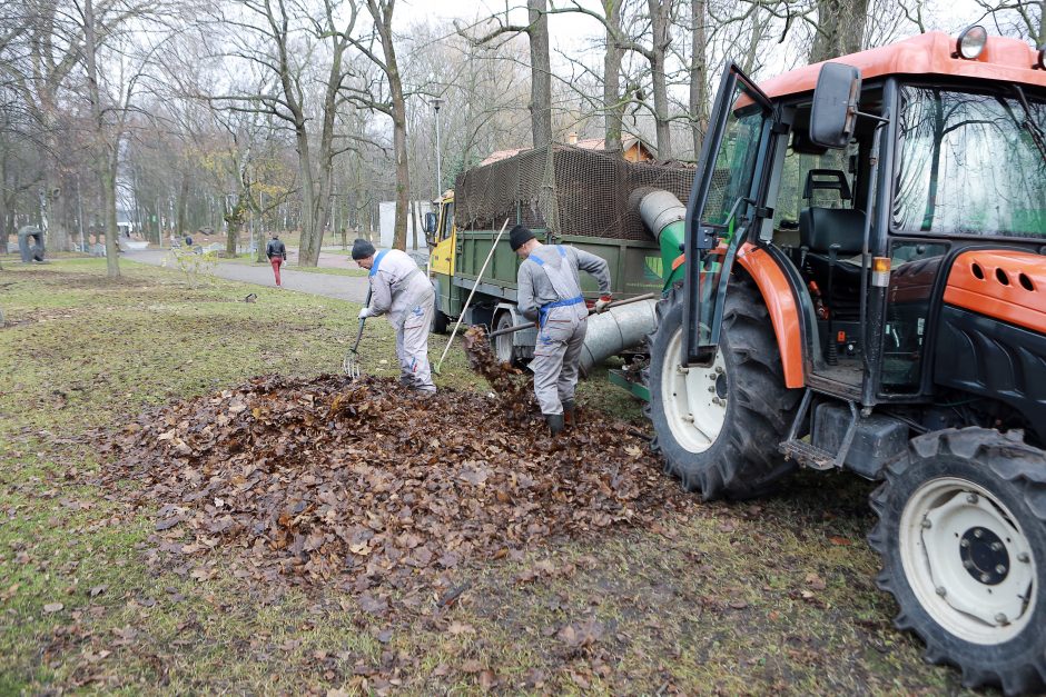 Uostamiestyje ruošiamasi tvarkyti parkus