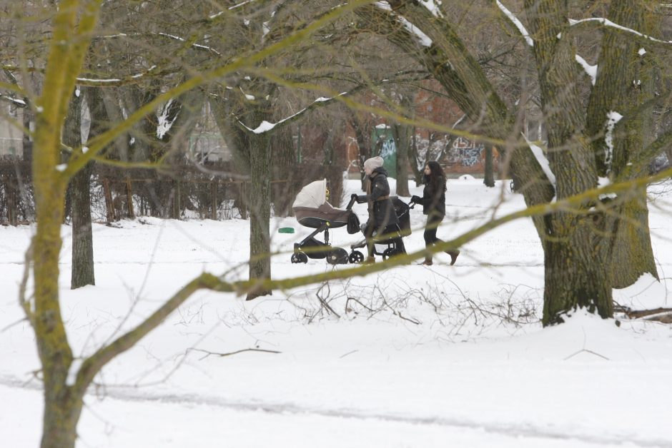 Konkurse triumfavo keturios klaipėdiečių idėjos