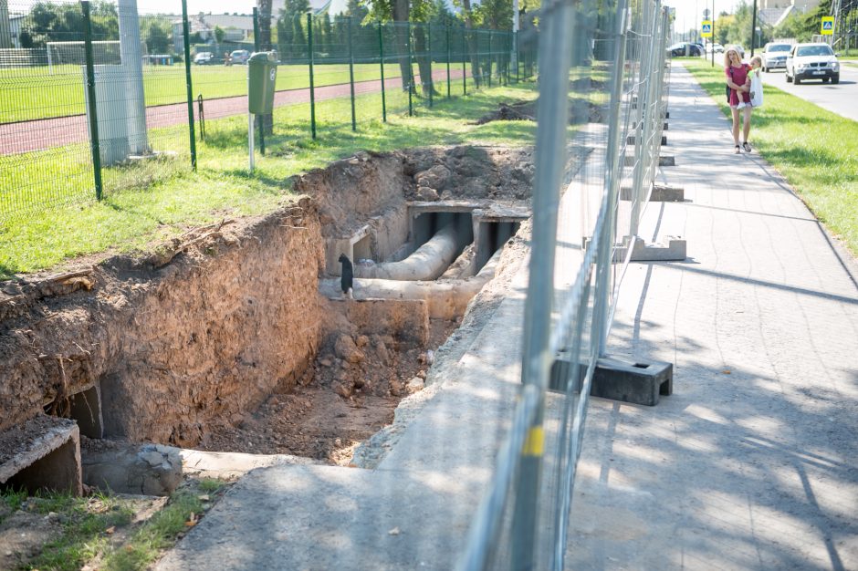 Kaunietis apie darbus Partizanų gatvėje: galva nežino, ką daro uodega