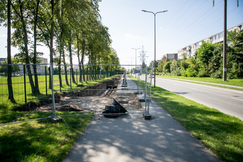 Kaunietis apie darbus Partizanų gatvėje: galva nežino, ką daro uodega