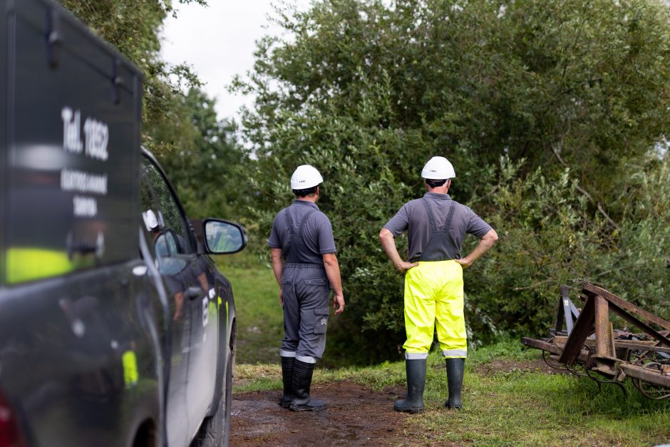 ESO vadovas: artimiausiomis dienomis tūkstančiai gyventojų dar neturės elektros