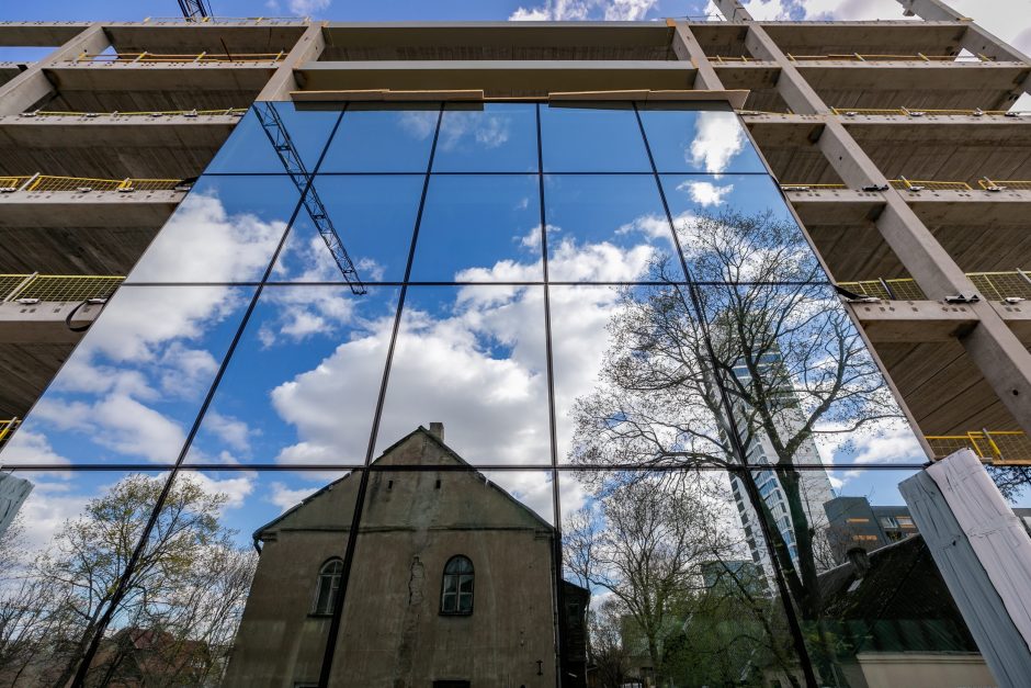 Vilnius siekia dar labiau apsaugoti brandžius medžius