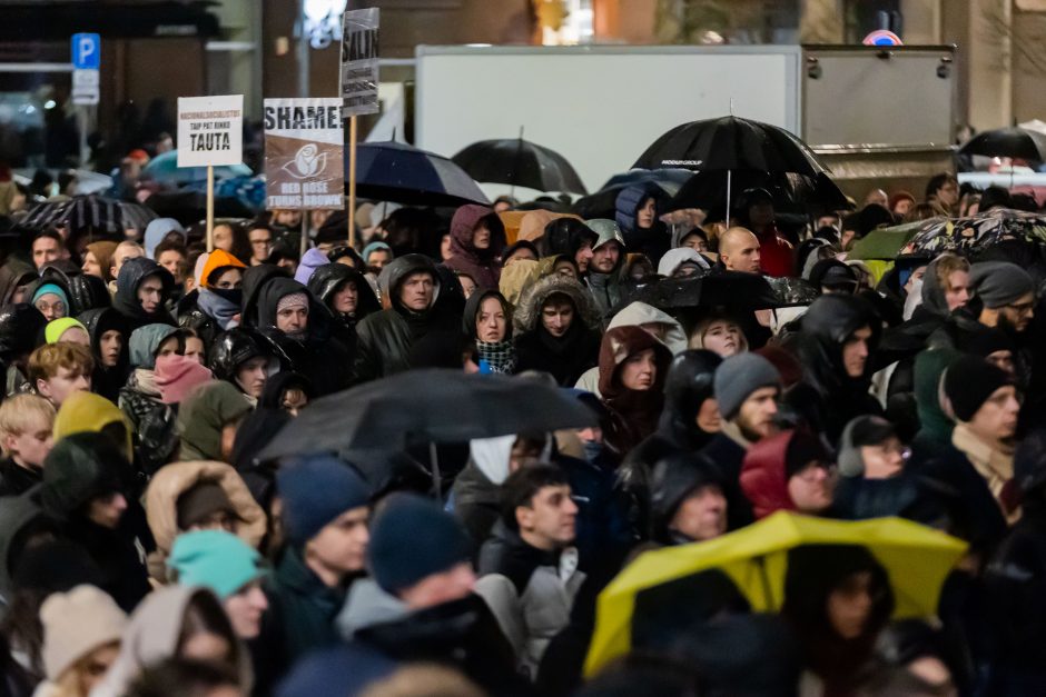 „Dešimt tylos minučių“ organizatoriai ketina rengti naują mitingą: neišgirdot pirmosios žinutės