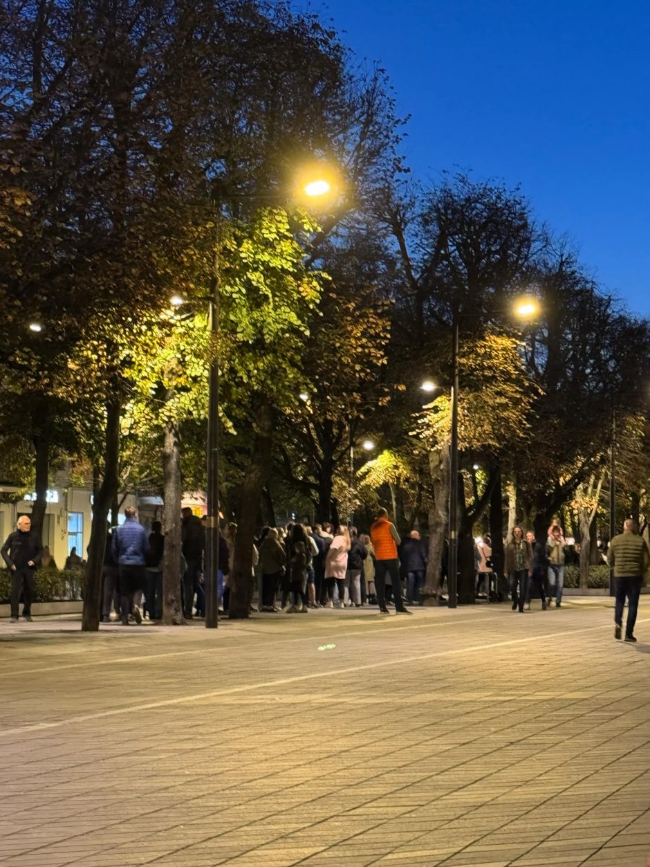 Širdį glostanti eilė: kauniečiai nori spėti iš anksto balsuoti Seimo rinkimuose