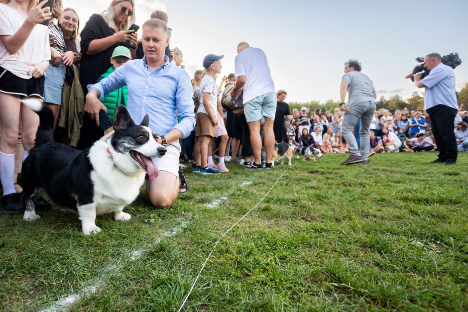 Vingio parke – korgių lenktynės: tiek mielumo vienoje vietoje seniai nematėte