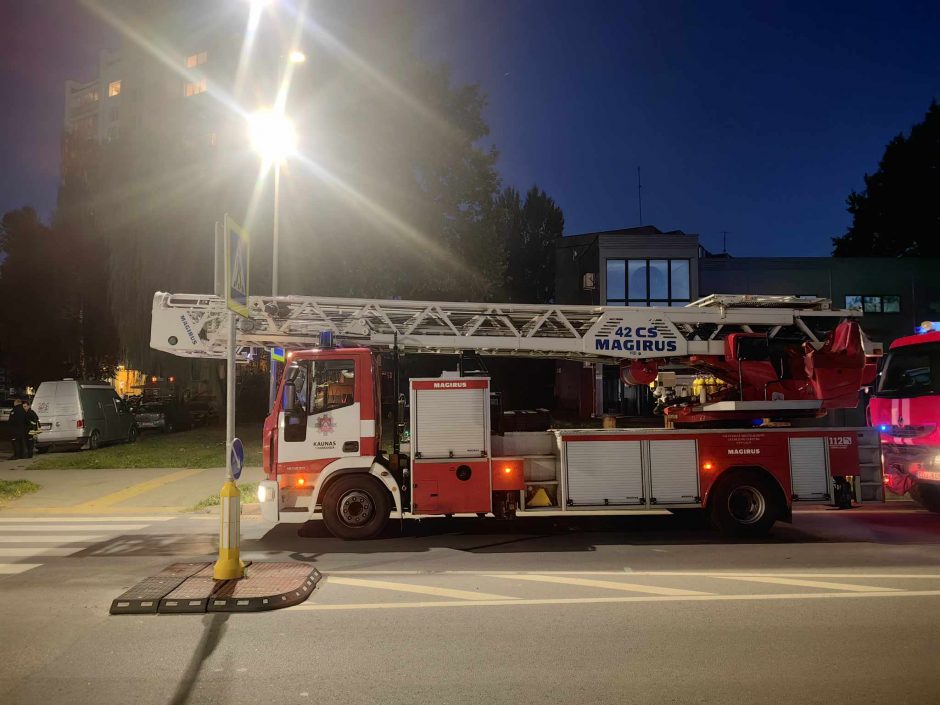 Ugniagesiai skubėjo į Partizanų gatvę šalinti pavojingai nulinkusios medžio šakos