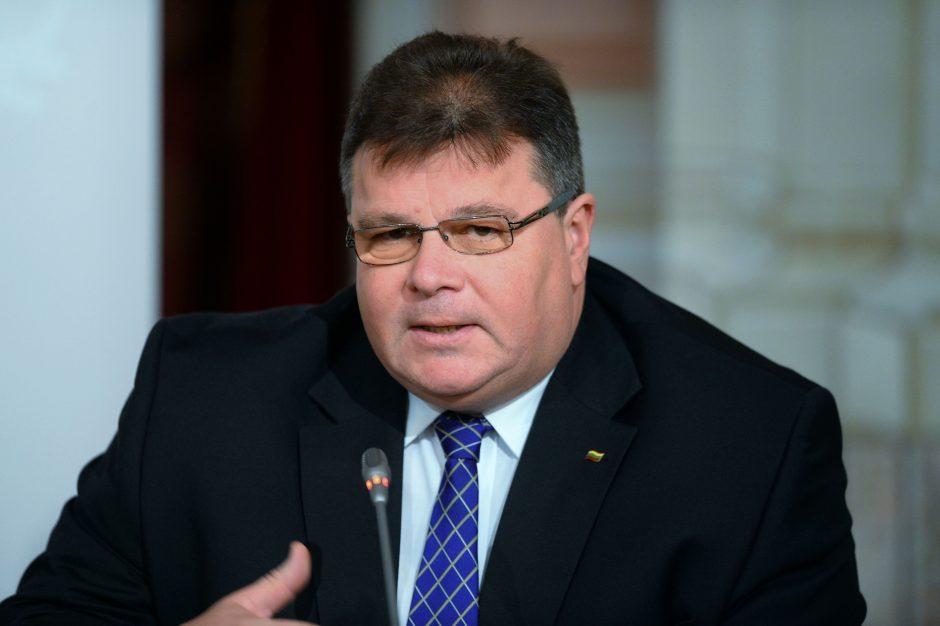 L. Linkevičius: „Hitachi“ požiūris į VAE projektą išlieka labai rimtas