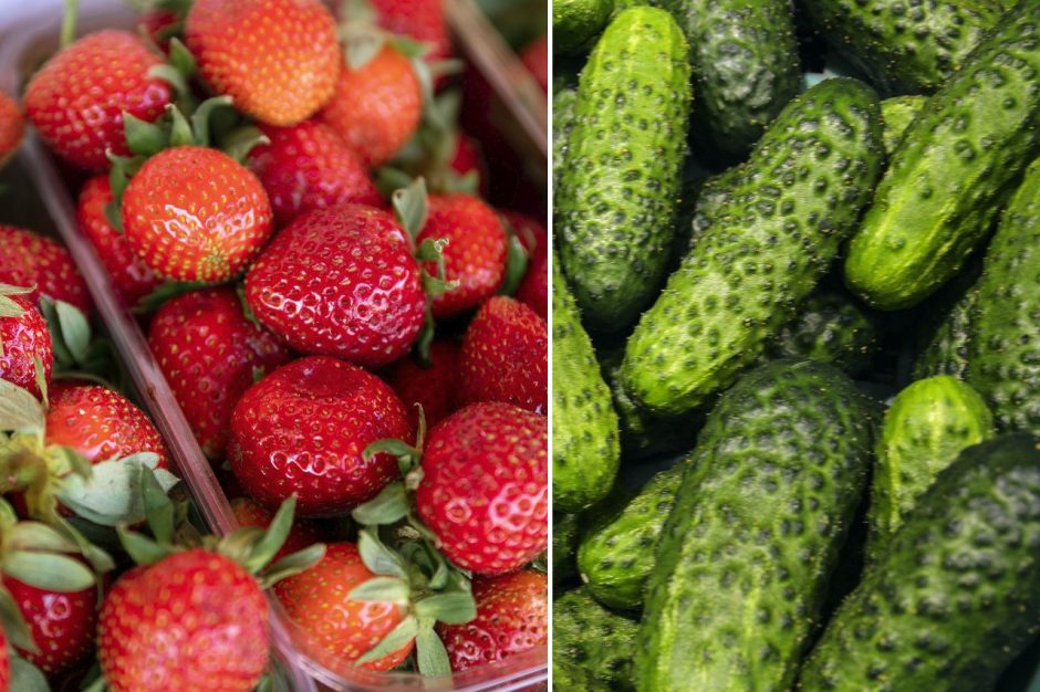 Kauno turguje jau pasirodė agurkai ir braškės: kainos labai „nesikandžioja“