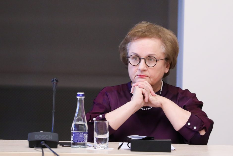 L. L. Andrikienė dėl EK gairių tranzitui: Lietuvos tikslai buvo kiti, tai – kompromisas
