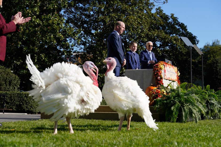 Per paskutinę malonės kalakutams suteikimo ceremoniją J. Bidenas amerikiečiams: išlikite ramūs